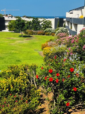 Un quartier résidentiel avec une pelouse bien entretenue, diverses plantes à fleurs et une vue sur la mer en arrière-plan.