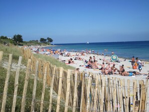 Playa en los alrededores y camastros