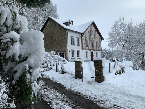 La Futaie de Chabrehez 
