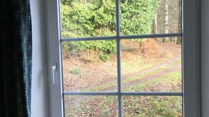 A window with a view of a forested area. - La Futaie de Chabrehez  (Les Tailles)