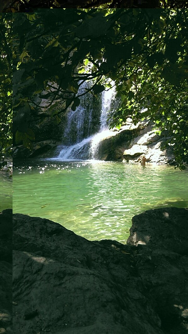 Une cascade d’eau se déversant dans un bassin limpide, entouré de rochers et d’arbres.