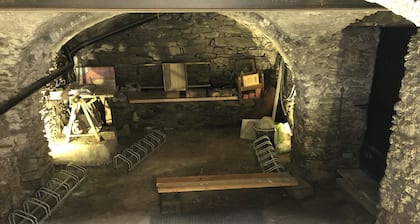 House 200 m2 14 pers at the foot of the 3 Vallée Express Val Thorens Orelle