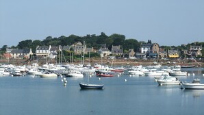 A marina with various boats docked, surrounded by buildings and trees.