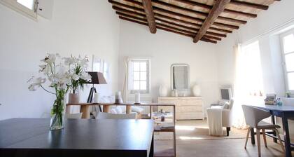 Superbe appartement centre historique UzĂšs (avec climatisation)