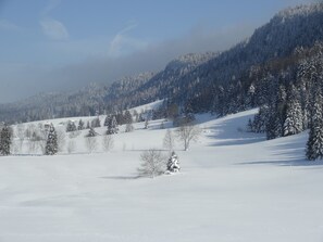 雪地及滑雪運動