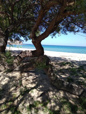 Una playa cerca