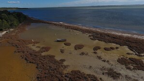 A coastal landscape with a boat on a sandy beach, surrounded by vegetation and a clear sky.