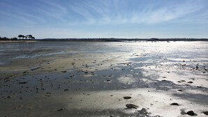 Een strand met een heldere lucht en rustig water.
