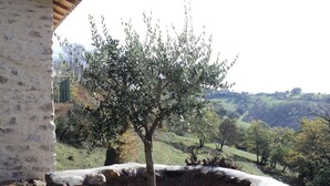 Ein Stebrunnen mit einem Baum in der Mitte, umgeben von einer Steinmauer.