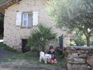 Una casa de piedra con un pequeño jardín, una palmera y un perro blanco.