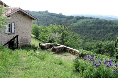 Small stone house near the village of AGNAC (15km from CONQUES)