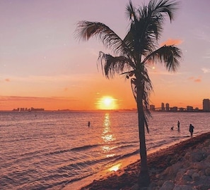 A sunset over a beach with a palm tree and a city skyline in the background.