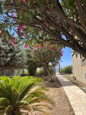 المنطقة المحيطة بالمنشأة