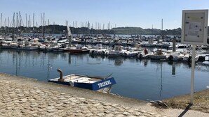 A marina with numerous boats docked, a sign labeled "TRISKEL," and a paved walkway.