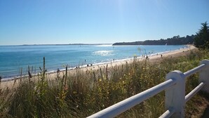 Una playa costera con cielo despejado, orilla de arena y un primer plano con césped.