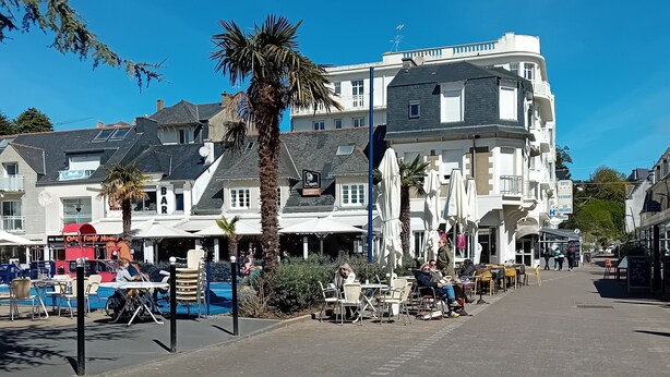 Una calle con terrazas al aire libre, palmeras y un hotel que indica serlo.