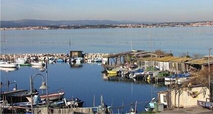 IN THE TYPICAL DISTRICT OF POINTE COURTE IN SETE CITY BETWEEN SEA AND SKY