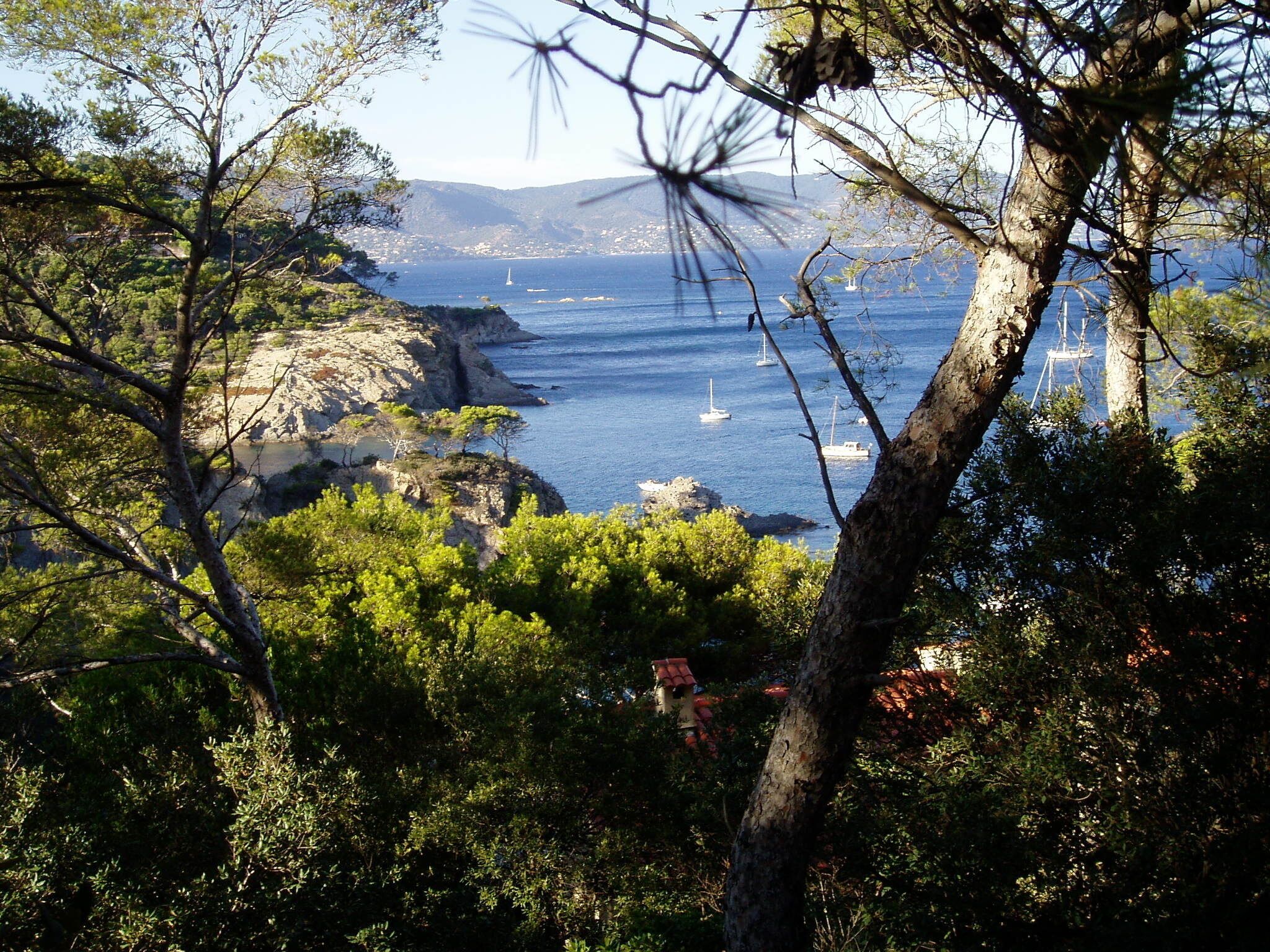 Paesaggio costiero con terreno roccioso, vegetazione lussureggiante e vista sul mare con barche.
