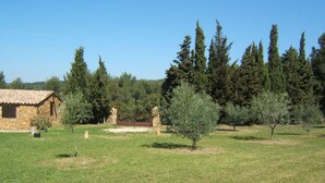 A stone house with a tiled roof, surrounded by a grassy field and olive trees. - House surrounded by olive trees, set against a hill, on 2000 m2 of quiet land (Ceyreste)
