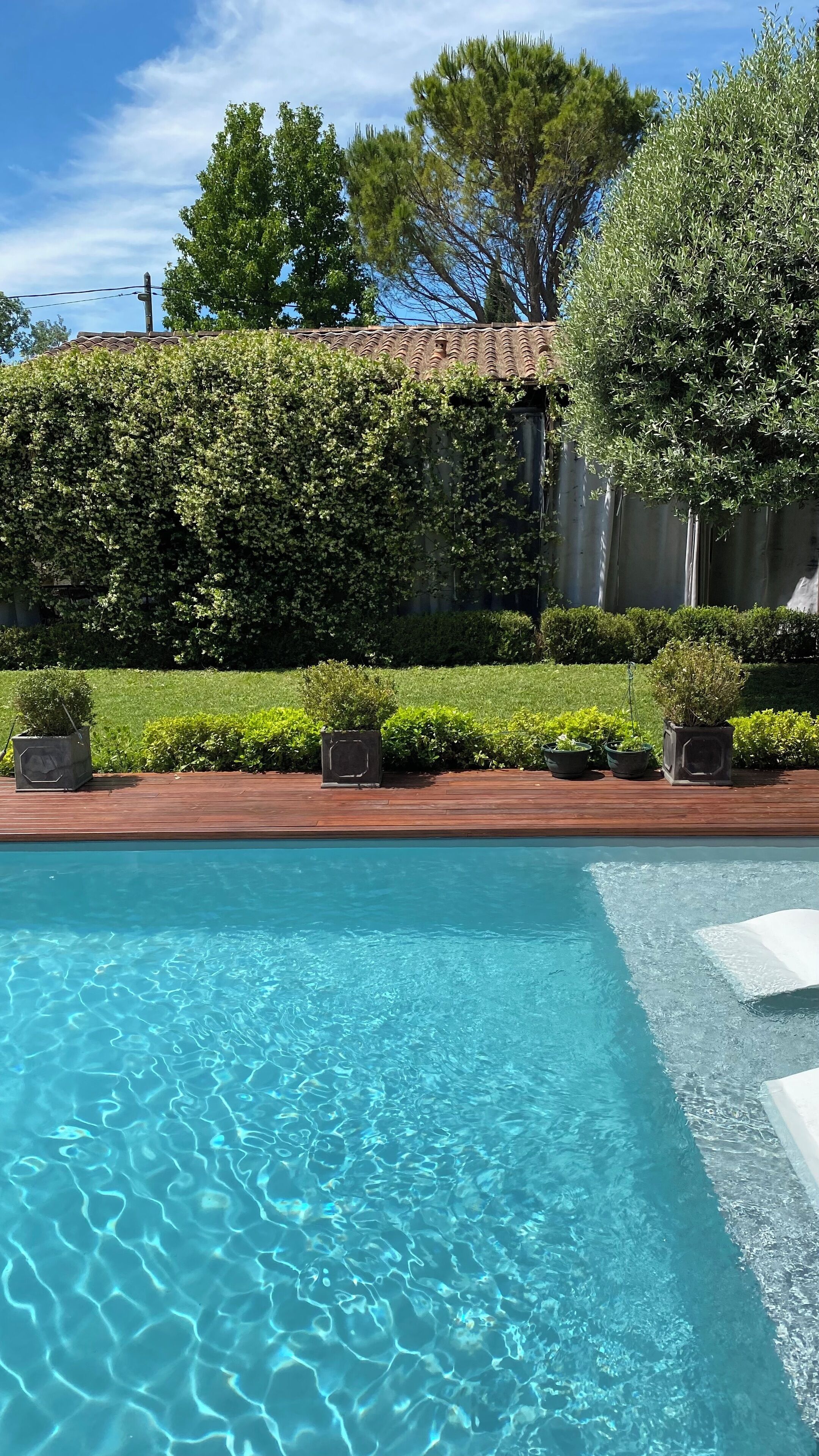 Une piscine aux eaux cristallines, dotée d’une terrasse en bois et agrémentée de plantes en pot.