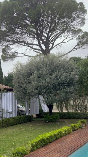 Property grounds - Near Avignon, AdriAnna guest house with terrace and private pool (Vedène)