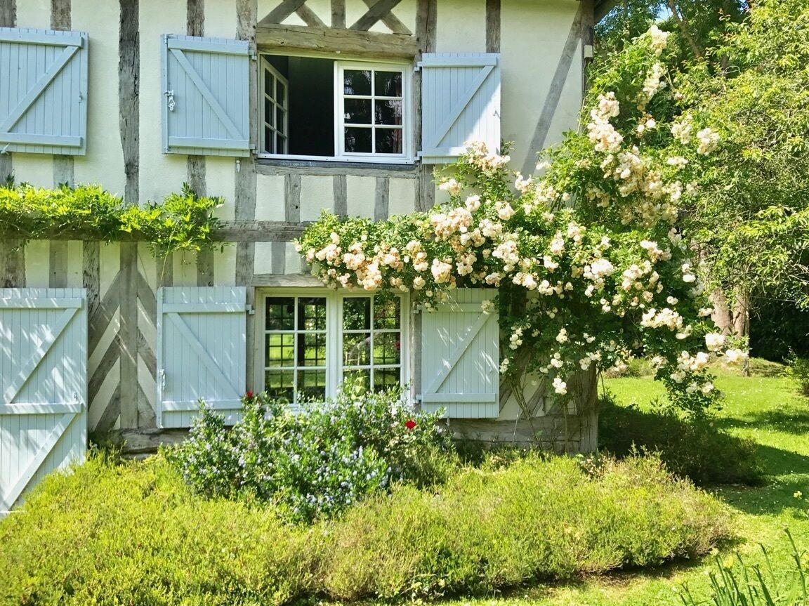 Détail côté sud, vue traversante sur le grand jardin 