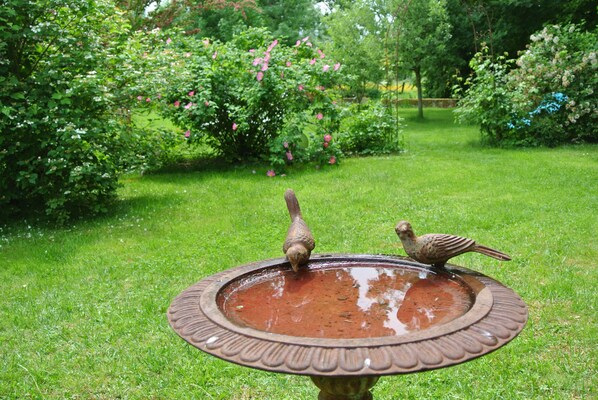 Un abrevadero con dos pájaros bebiendo agua, rodeado de abundante follaje y arbustos florecientes.
