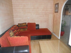 TV, fireplace, DVD player, books