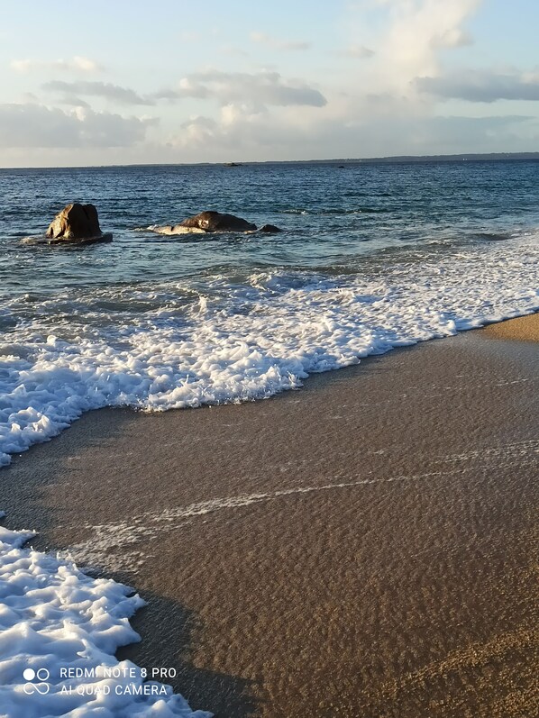 Playa en los alrededores 