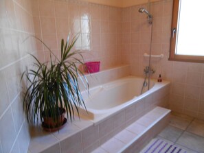 Combined shower/tub, hair dryer