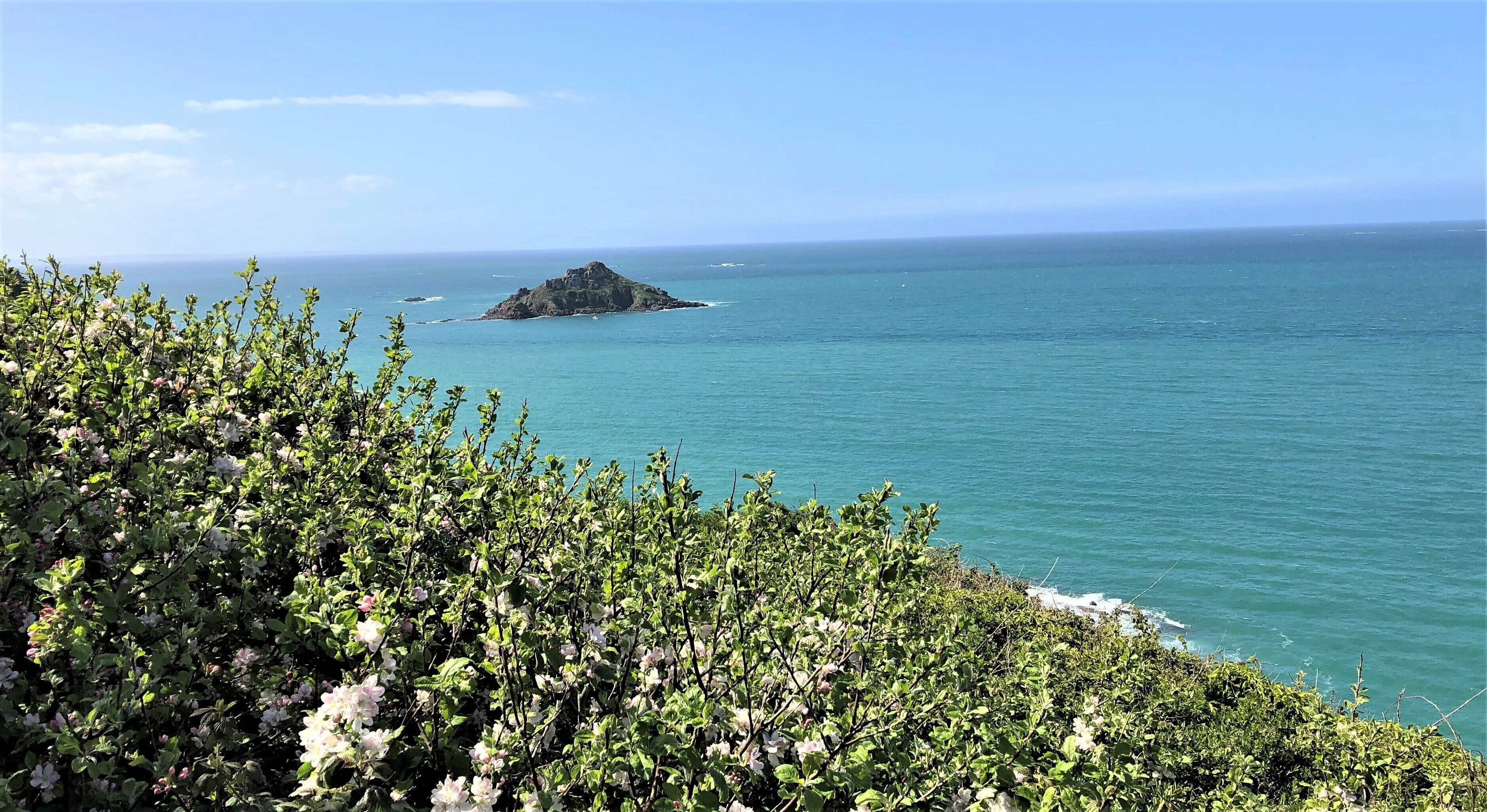 A coastal landscape with a rocky outcrop and dense green foliage in the foreground.