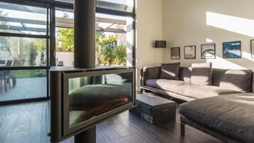 TV, fireplace, video games, table tennis