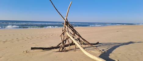 Nära stranden