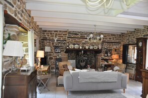 TV, fireplace, table tennis, books