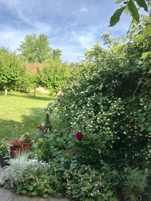 Jardines del alojamiento