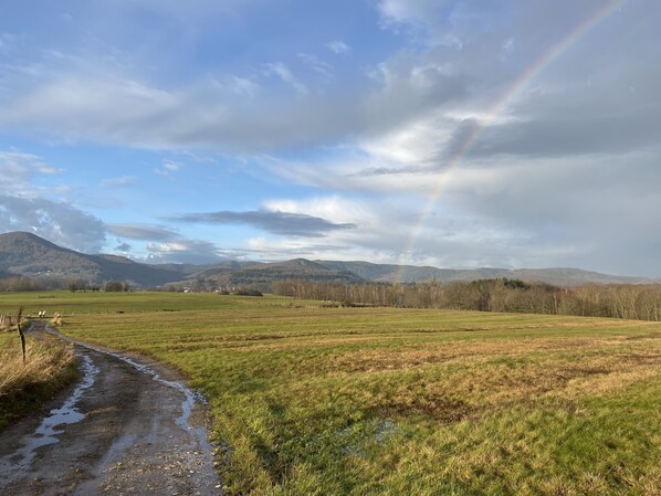 A rural landscape with a muddy path, green fields, and mountains in the background.