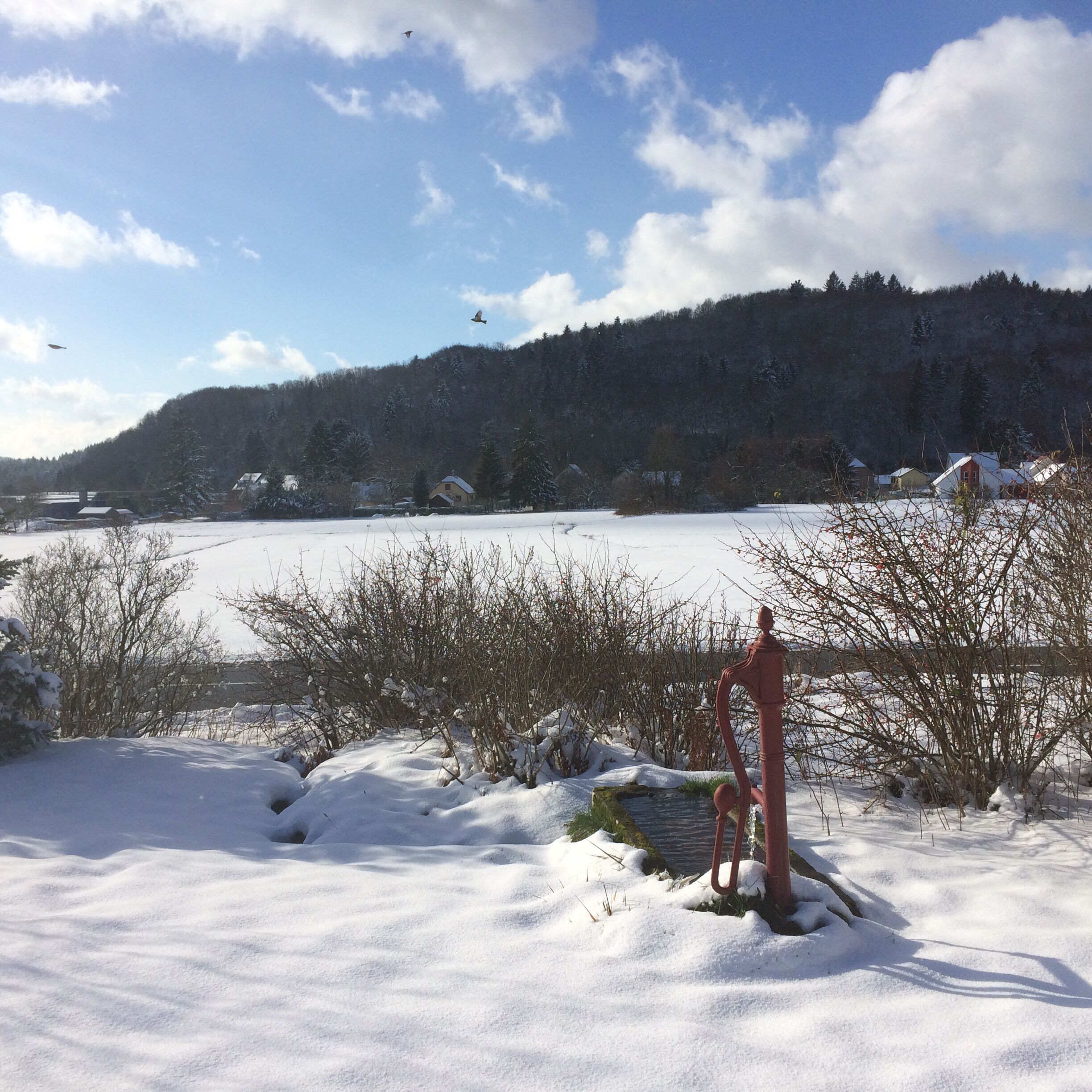 Wintersport/Ski