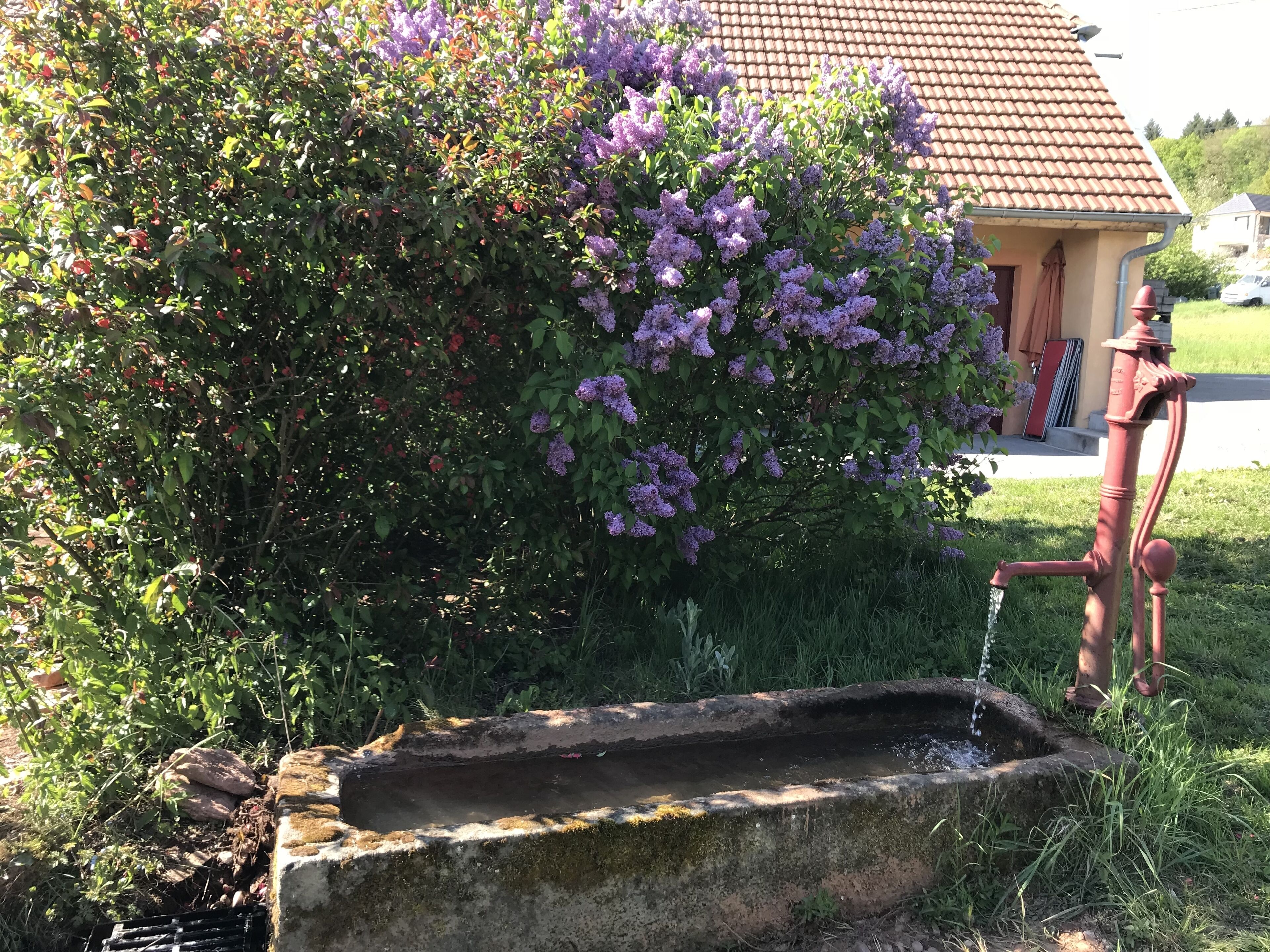 Un jardin agrémenté d’un élément aquatique, d’une pompe en métal rouge, et une maison avec un toit en tuiles en arrière-plan.