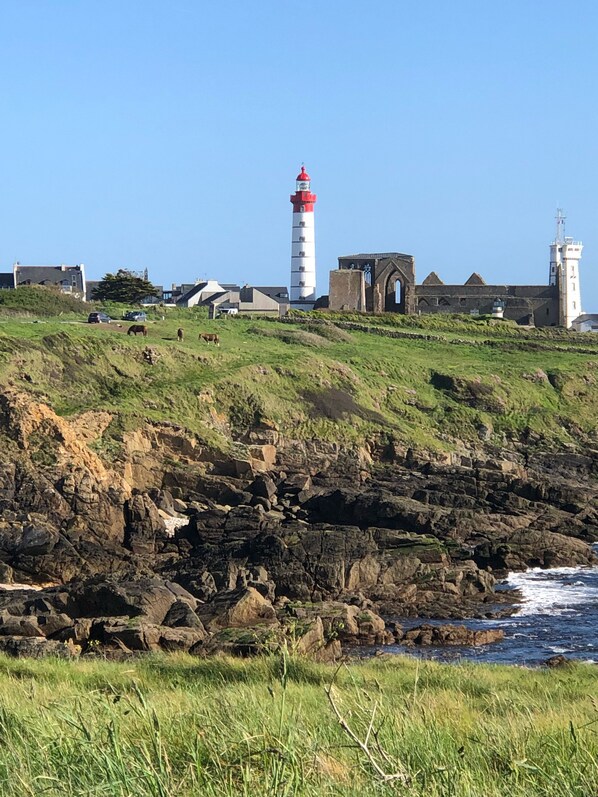 Eine Küstenlandschaft mit Leuchtturm, felsigen Klippen und Wiesen.