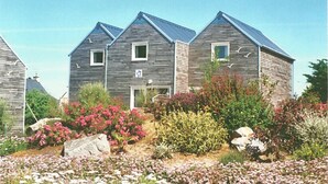 Una hilera de casas de madera con una ventana pequeña y una puerta, rodeada de diversas plantas y flores.