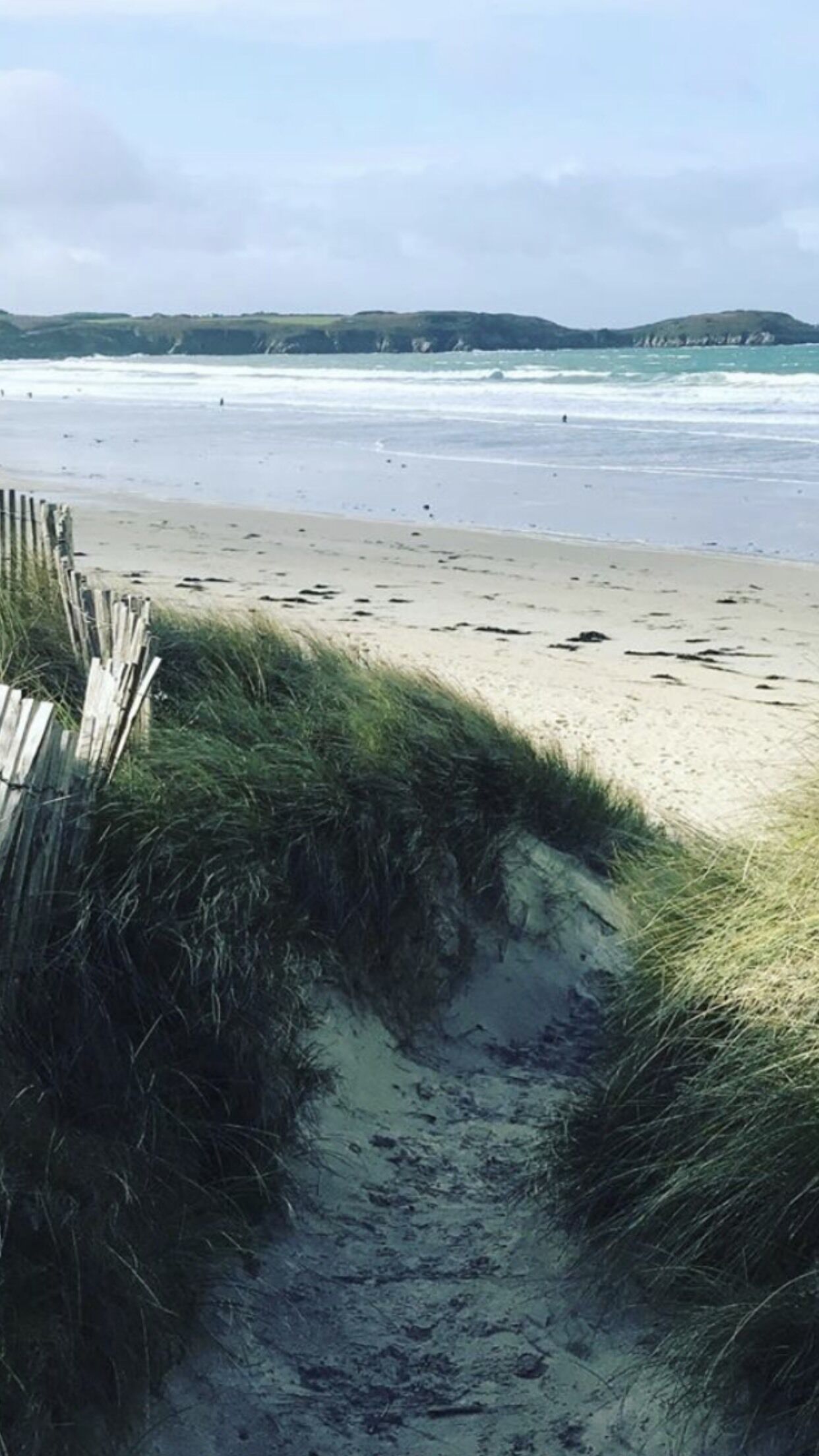 A beach with a wooden fence and grassy dunes leading to the water.