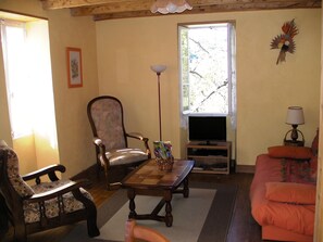 Télévision, cheminée, lecteur de DVD