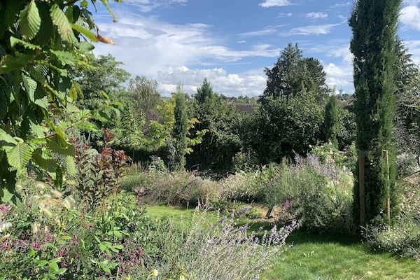 Le jardin devant le gĂźte