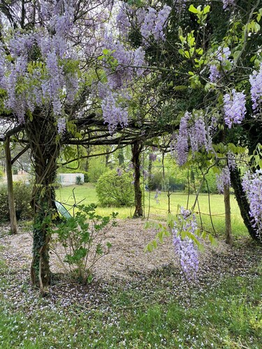 VILLA WITH SWIMMING POOL IN BLACK PERIGORD WITH VIEW ON THE SARLADAISE CAMPAIGN 