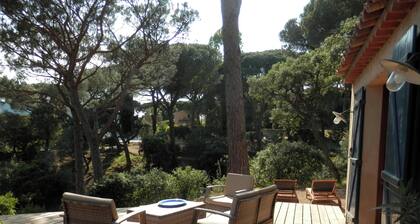 Beau Mazet 75m2, large garden in pine forest, Private domain with Swimming pool, Tennis ..