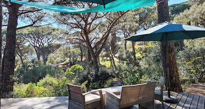 Beau Mazet 75m2, large garden in pine forest, Private domain with Swimming pool, Tennis ..