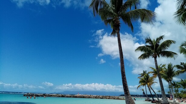 Een strand met helder turquoise water, palmbomen en een rotsenrijke zeebaan.