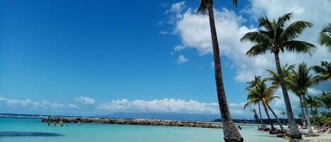 Chaises longues, serviettes de plage