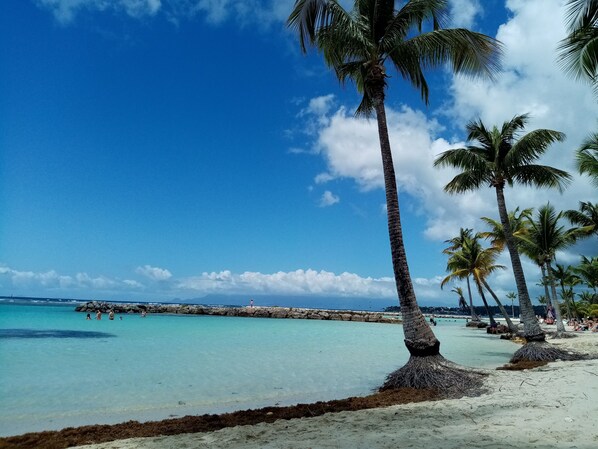 Sun loungers, beach towels