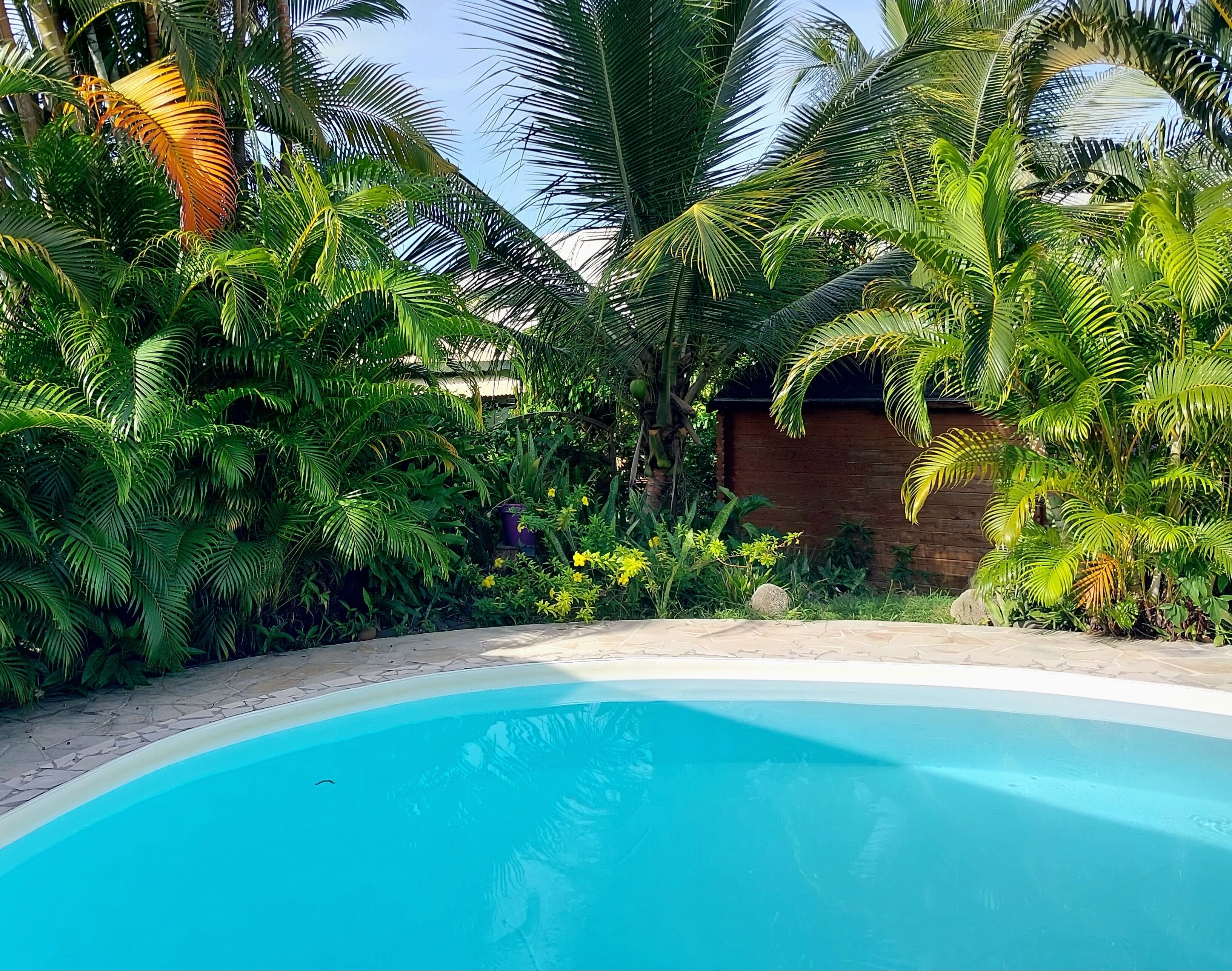 Piscine extérieure